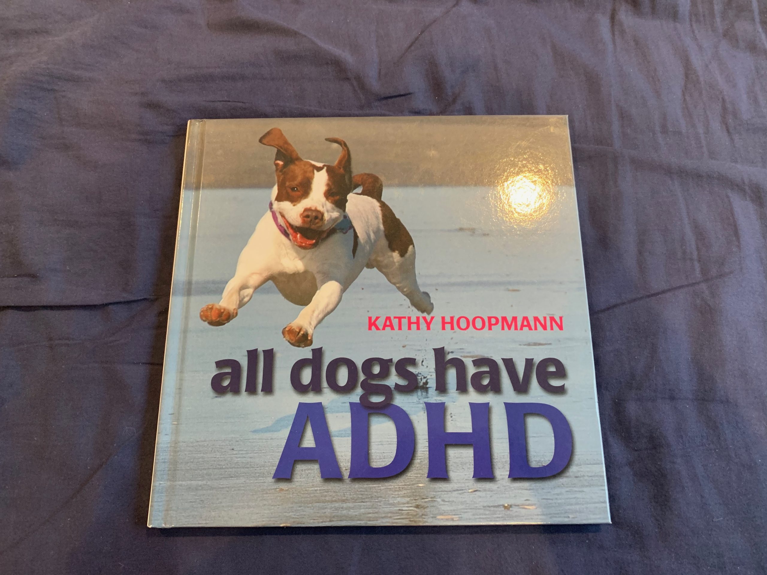 Book Review: All Dogs Have ADHD - Exceptional Individuals