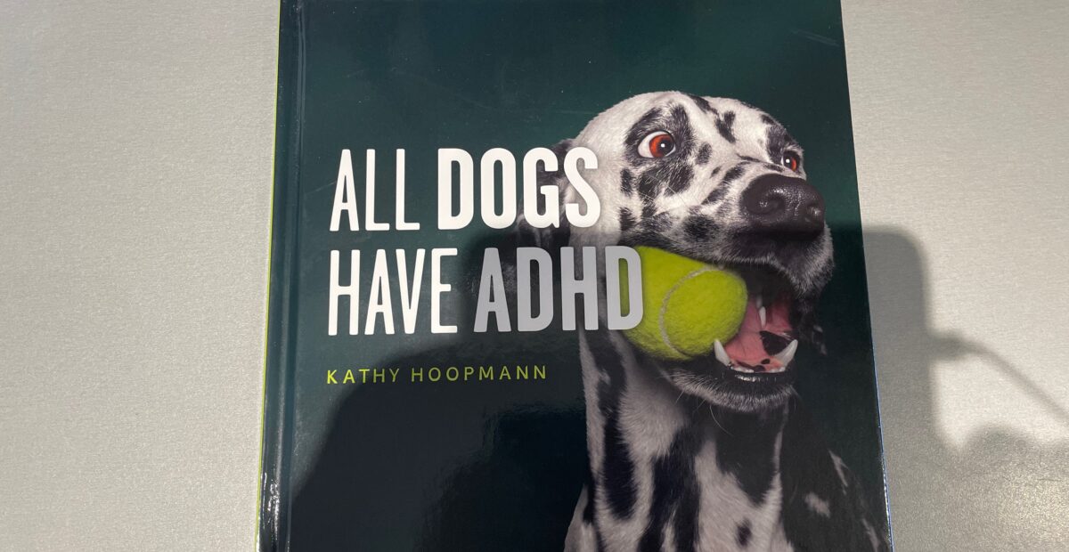 A book called All Dogs Have ADHD lies on a grey kitchen worktop.
