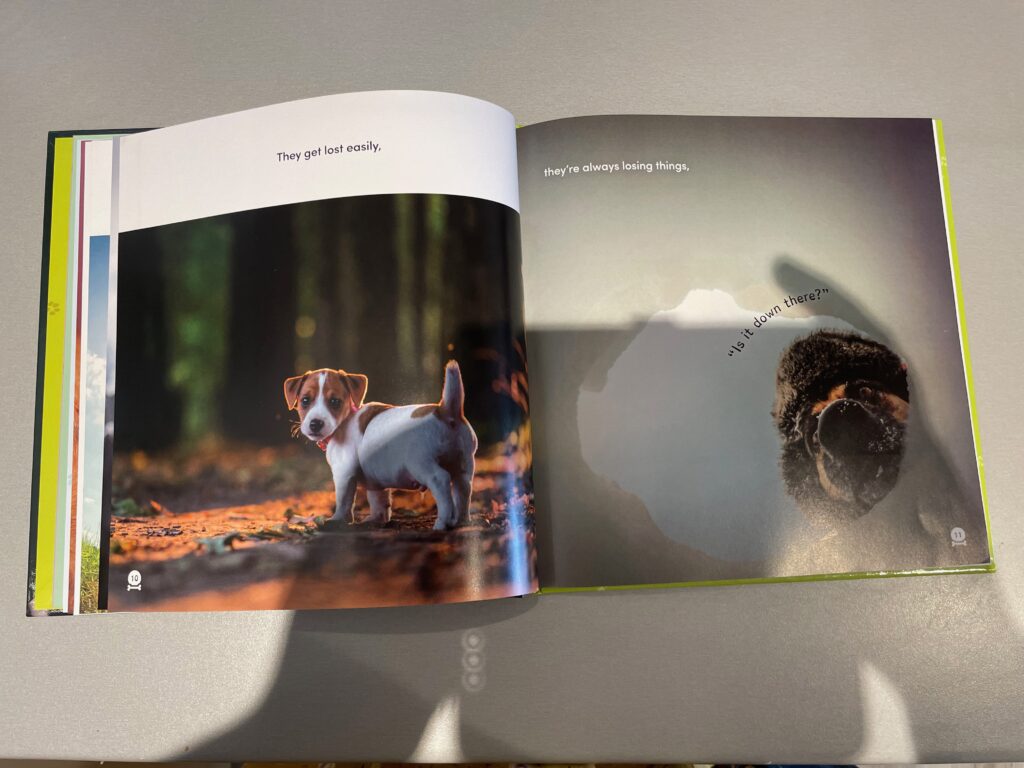 Two pages of All Dogs Have ADHD are open. The first shows a lost puppy in a forest. The text reads: "They get lost easily." The second page shows a dog looking down a hole. The text reads; "They're always losing things," and, "Is it down there?" 