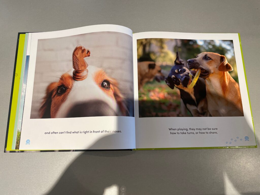 Two pages of All Dogs Have ADHD are open. The first shows a dog with a chess piece on its head. The text reads: "and often can't find what is right in front of their noses." The second page shows two dogs playing with a ring-shaped toy amongst an autumnal background. Another dog appears in the background. The text reads: "When playing, they may not be sure how to take turns, or how to share," 